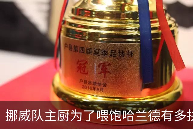 挪威队主厨为了喂饱哈兰德有多拼？他每天要补充6000卡路里热量，进入淘汰赛后球队紧急订购食材