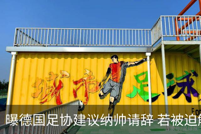 曝德国足协建议纳帅请辞 若被迫解雇将付七位数遣散费